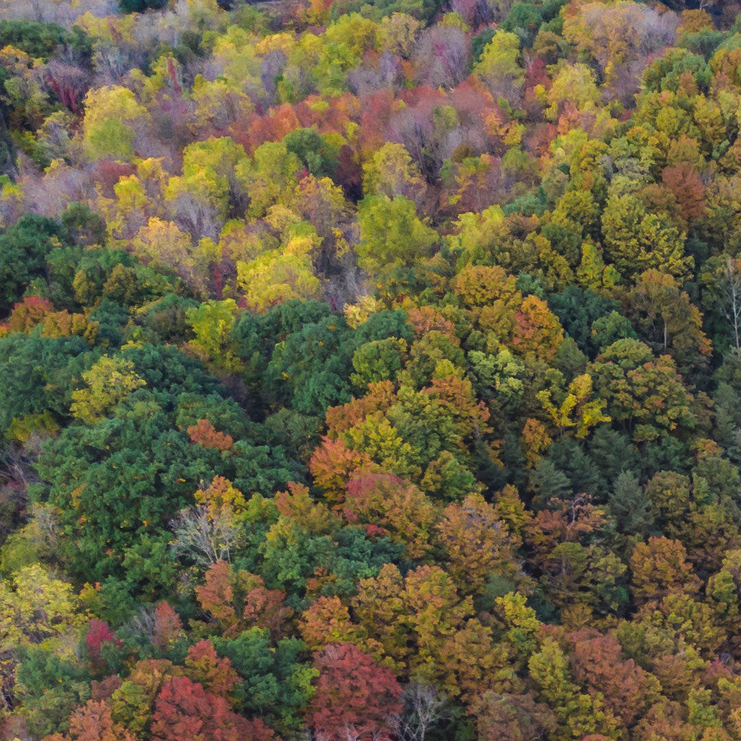 Oros Strike Indicator Biodegradability Report